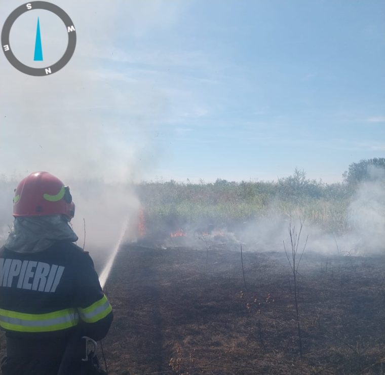 Cinci incendii în Argeș, peste 12 ha teren distruse de foc