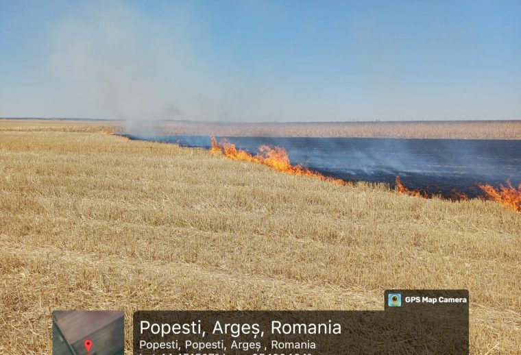 Foc pe un câmp de cinci hectare din Argeș
