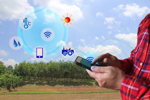 Tehnologii IoT: 7 soluții care schimbă modul în care lucrăm pământul