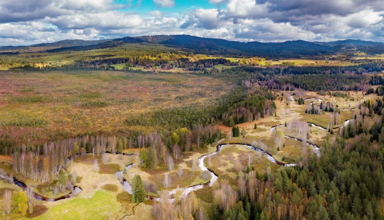 Cooperare tematică între Fundaţia „Conservation Carpathia” şi Parcul Naţional Sumava din Cehia
