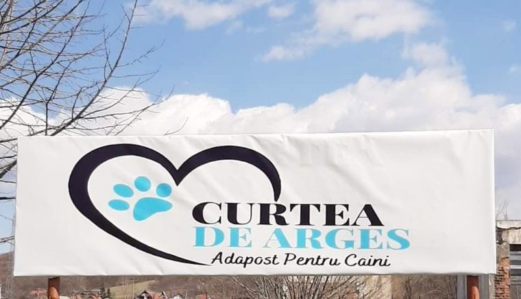 O nouă campanie de sterilizare a animalelor, la Curtea de Argeş