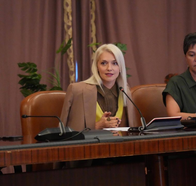 Alina Gorghiu vrea ca Parlamentul să adopte o Declarație împotriva violenței domestice