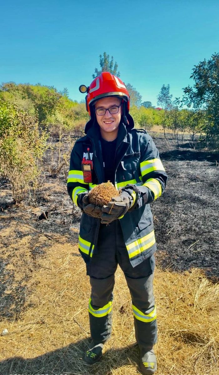 Arici salvat din incediu de un un tânăr pompier argeșean