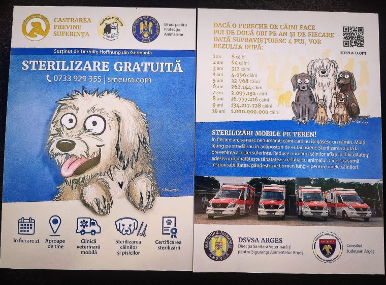 Ziua Internațională a Animalelor. Polițiștii militează pentru sterilizare și adopție