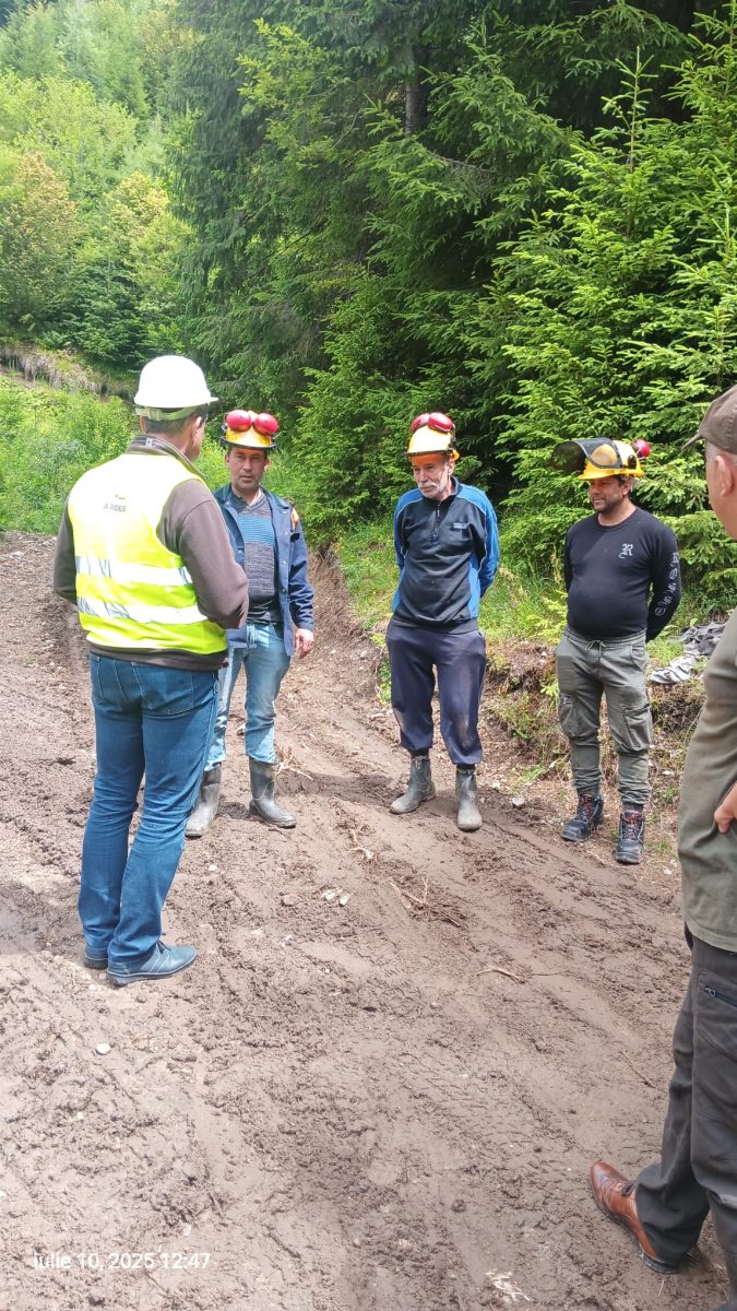 Controale ale ITM Argeș în silvicultură. Ce nereguli au depistat inspectorii de muncă