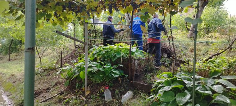 Și-au făcut gard la bloc, în Pitești. Poliția Locală a intervenit