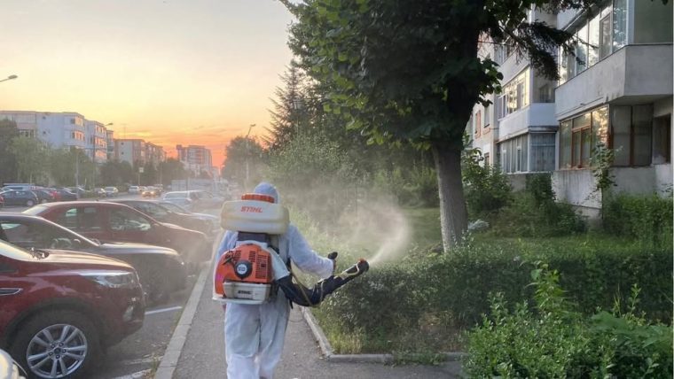 Tratamente fitosanitare la Pitești. Programul de stropiri pe cartiere