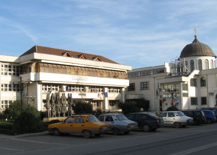 Cadastrare gratuită la Topoloveni. Termen de verificare a datelor imobilelor