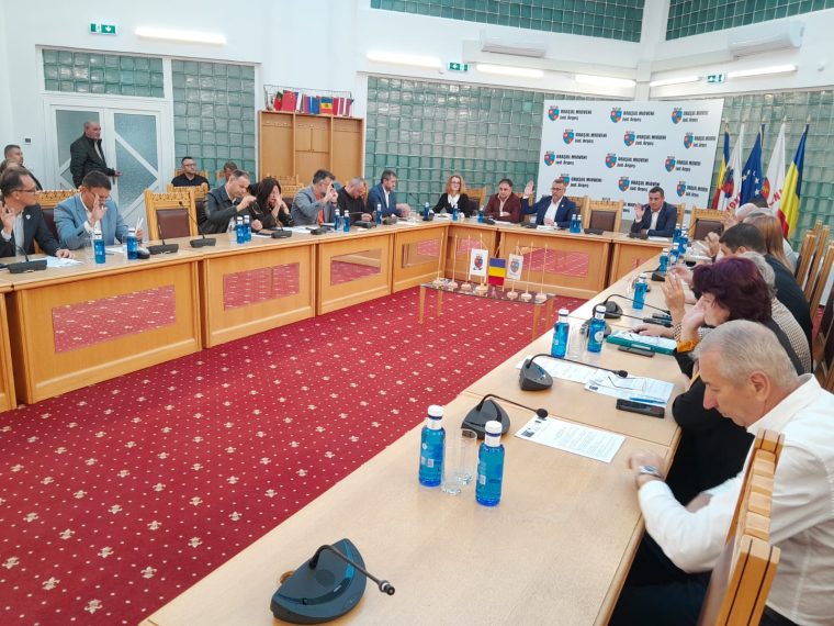 Proiectul cu azilul din Mioveni, scos de pe ordinea de zi a Consiliului Local