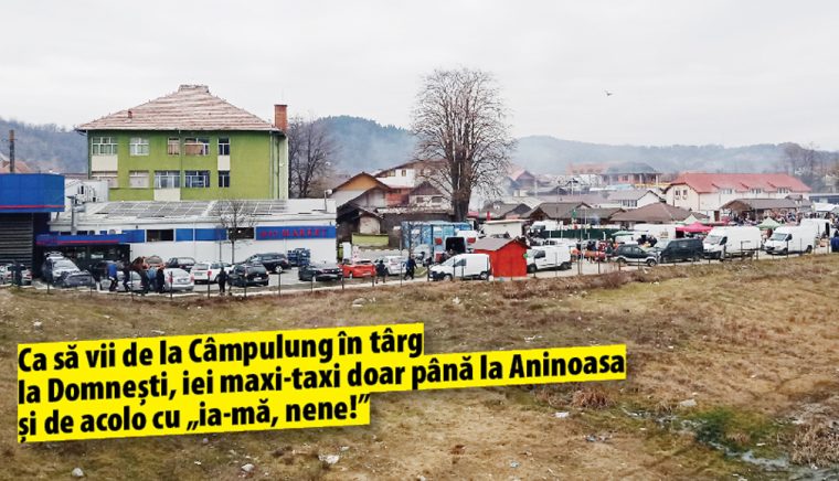 Domneștiul, apariție rară în transportul județean