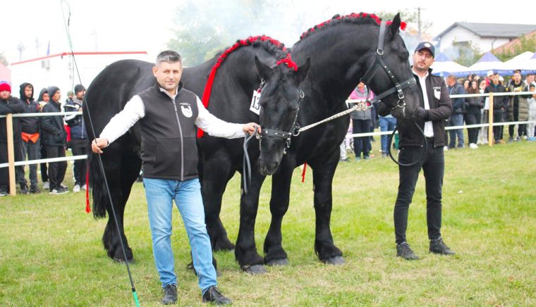 Expoziţie de cabaline la Hârtieşti