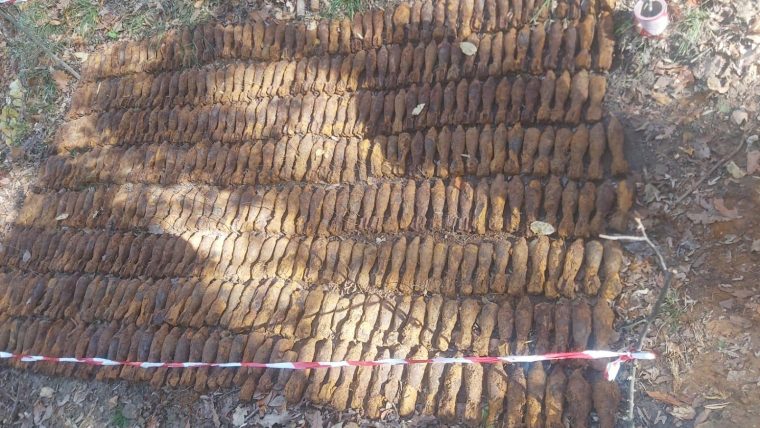Aproximativ 600 de bombe descoperite într-o pădure din Bascov