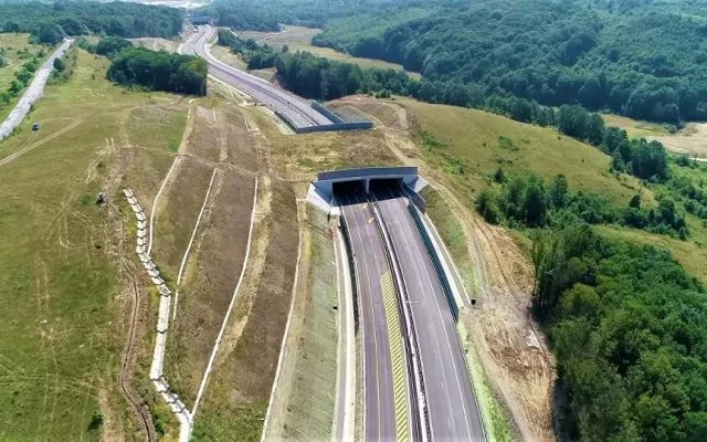 „Autostrada urșilor” avansează rapid: tunelul A1 Lugoj–Deva a fost străpuns
