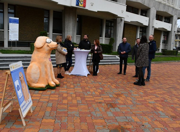 Mascota „Bobiță”, simbolul campaniei pentru sterilizarea animalelor în Argeș