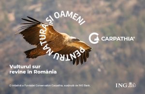 Fundatia-Conservation-Carpathia