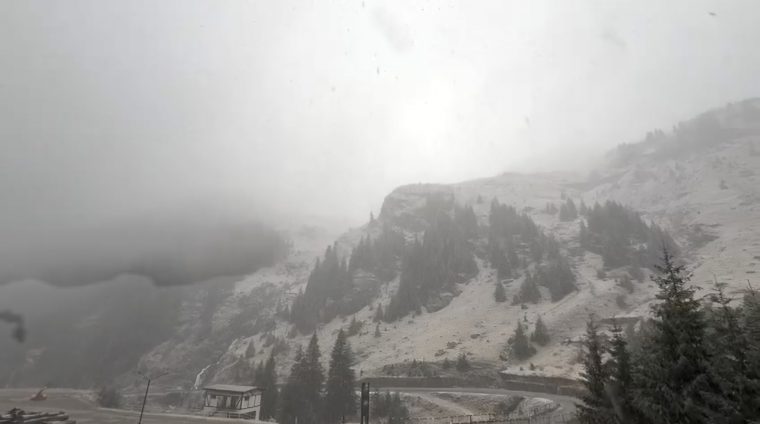 VIDEO. Ninsoare și ceață la munte