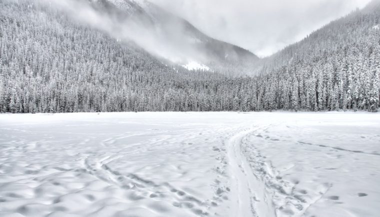 Tânărul dispărut în Bucegi nu a fost găsit. E căutat cu Black Hawk, drone și echipe Salvamont