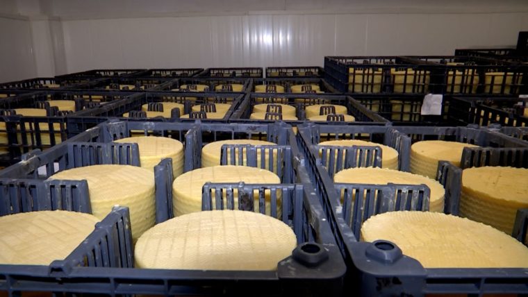 Brânza românească, premiată cu aur la un celebru concurs gastronomic din Elveţia