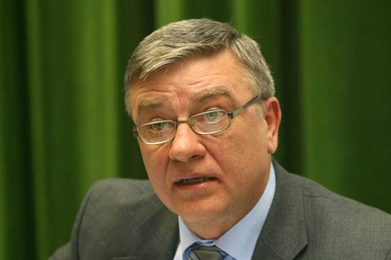 Ce pensie are Mircea Sandu în România