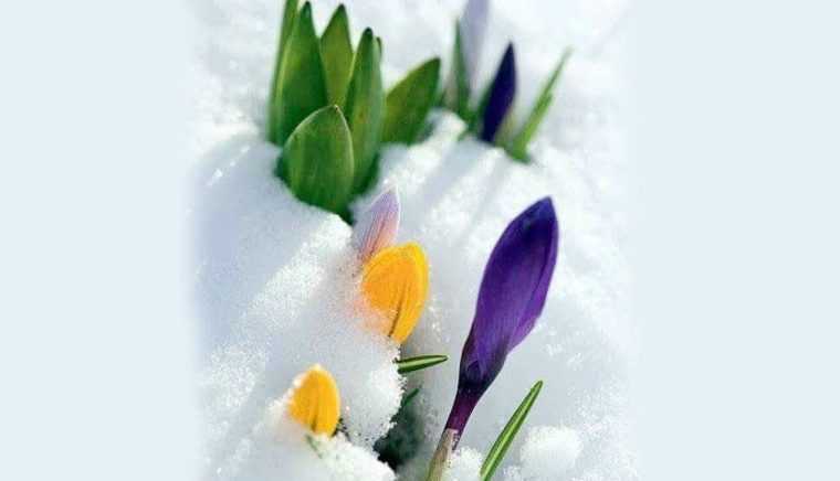 Răgaz pentru suflet (47) FRATE EMINESCU