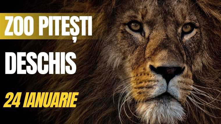 Grădina Zoologică Pitești, deschisă sâmbătă, 24 ianuarie