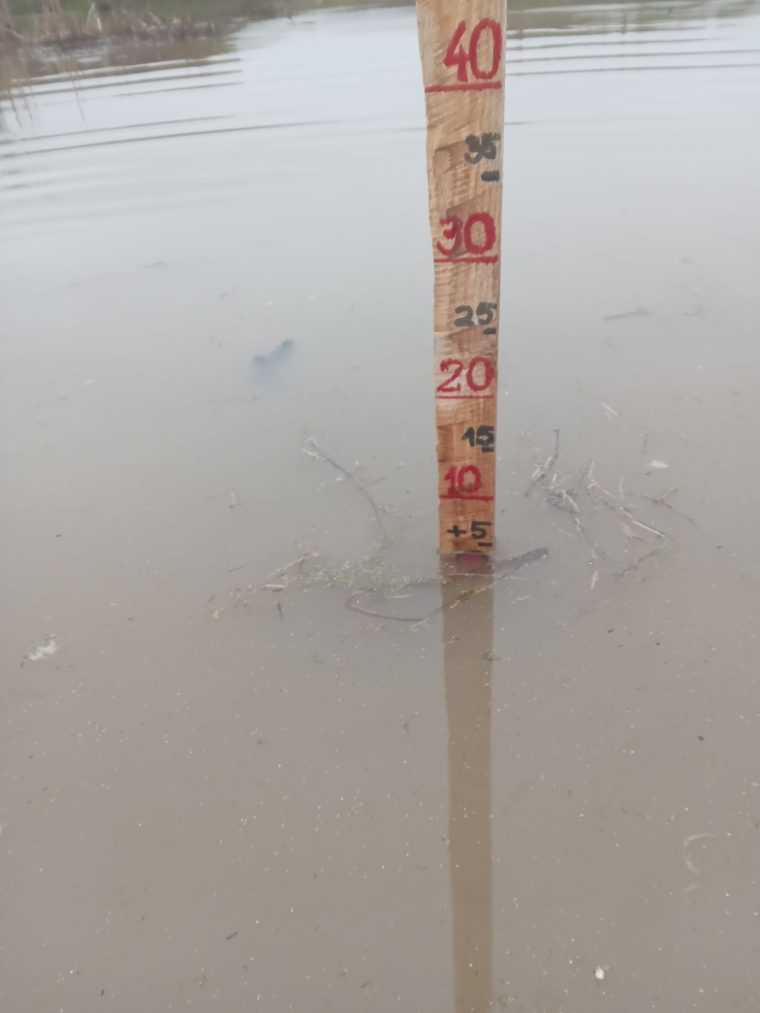 Apele Române Argeș Vedea: cod portocaliu și cod galben de inundații