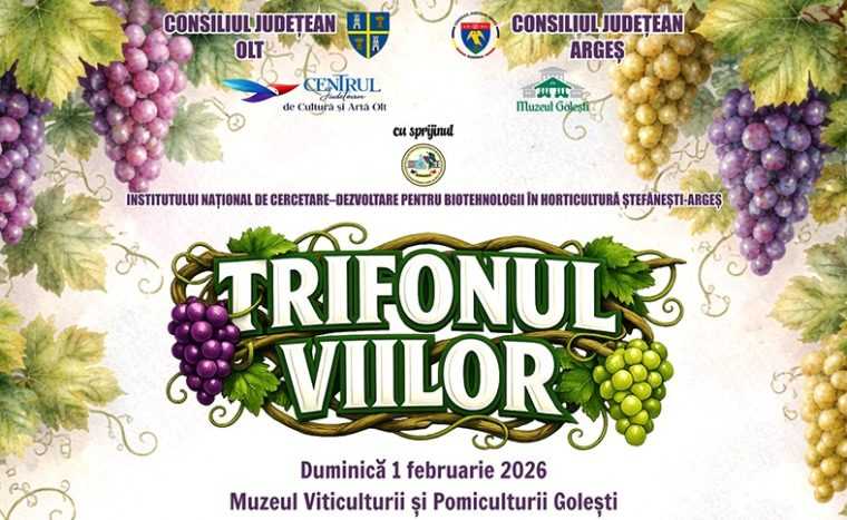 Premieră în Argeș, la Golești. „Trifonul viilor”, obicei reînviat la sat. Duelul vinurilor