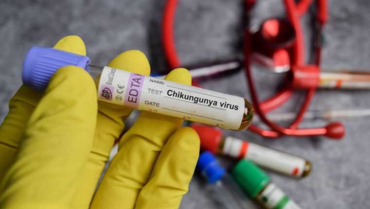 Un nou caz de virus Chikungunya confirmat în România
