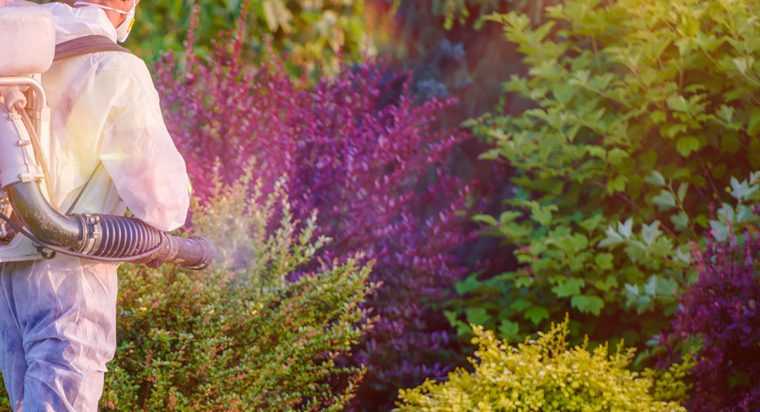 Pitești. Încep stropirile contra dăunătorilor la plante. Programul pe zone