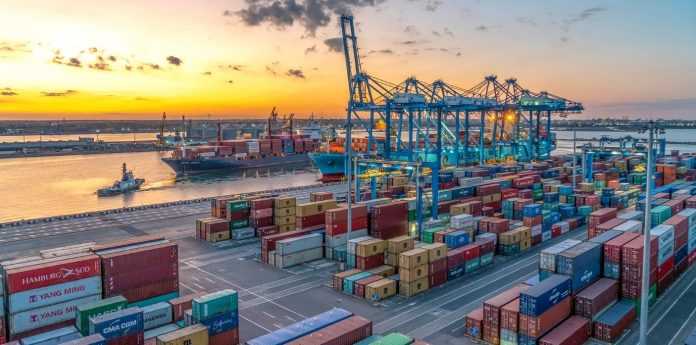 Lovitură pentru piața fake-urilor: genți și jucării de peste 160.000 de euro, confiscate în Portul Constanța