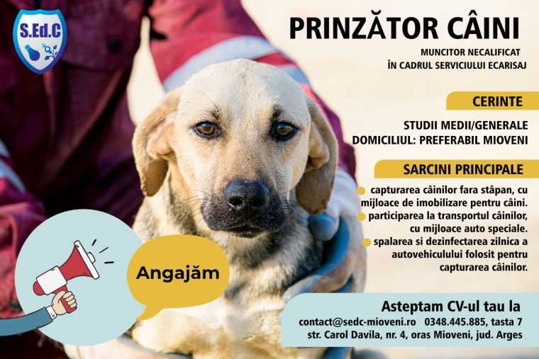 SEDC Mioveni angajează prinzător de câini