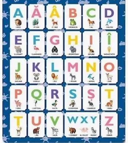 17 Februarie 1993:  Academia Română  a hotărât revenirea la scrierea cu “â” în interiorul cuvântului