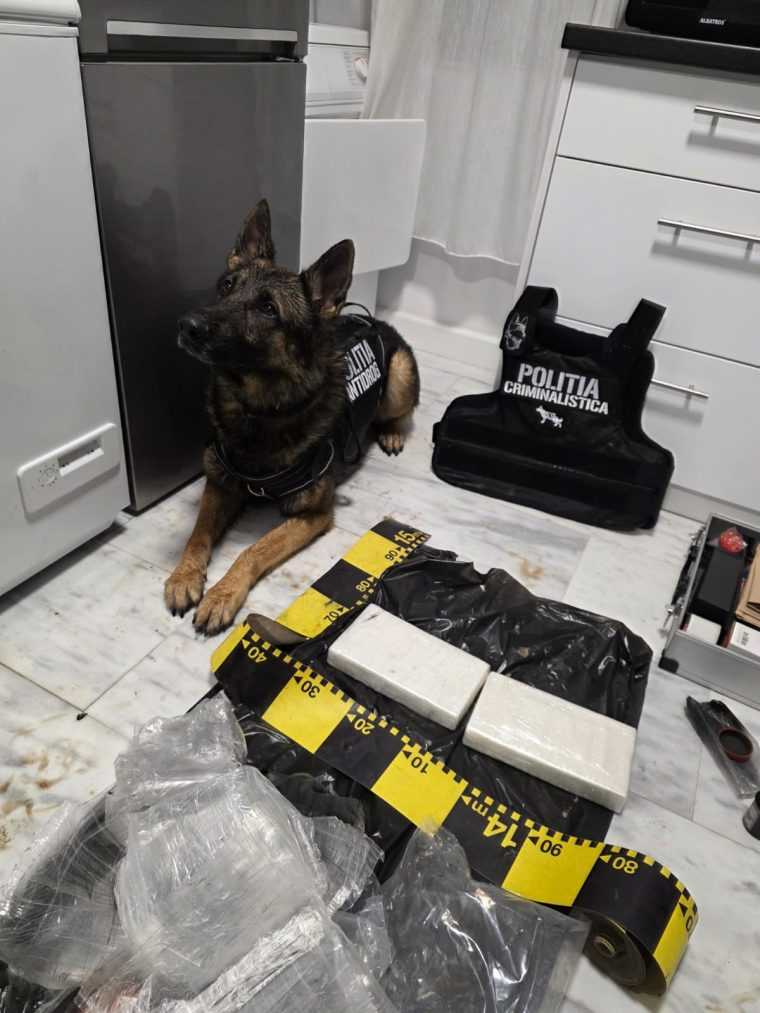 Pitești. Trei persoane reținute pentru trafic de droguri de mare risc. Prinși în flagrant delict în oraș