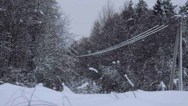 Minoră electrocutată după ce un copac plin de zăpadă a căzut peste firele electrice