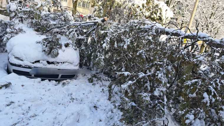 Misiuni de iarnă la Pitești. Drujbele, accesorii principale ale pompierilor