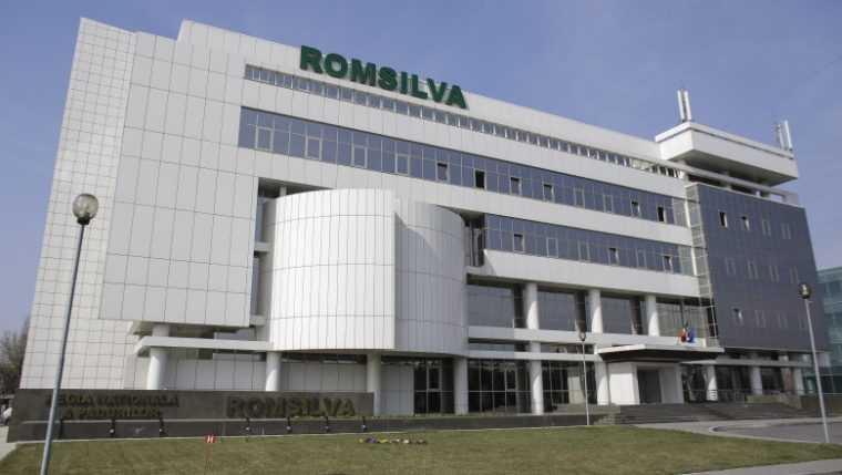 Nereguli semnalate în procedura de selecție pentru șefia Romsilva