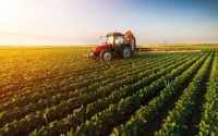 agricultura