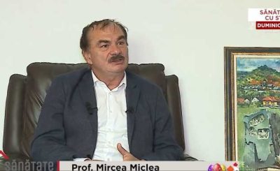 mircea miclea