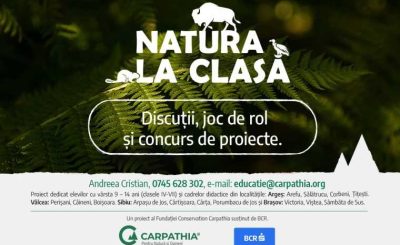 Natura_la_clasa_vizual