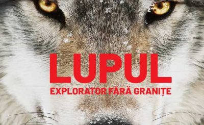 Afis_Documentarul Lupul