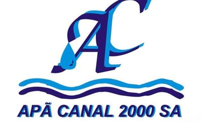 apa