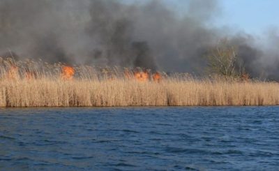 incendiu-delta-dunarii