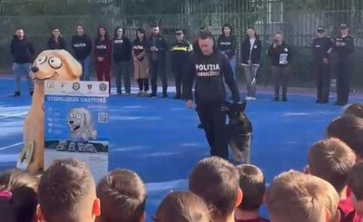 caine-Politie-Pitesti